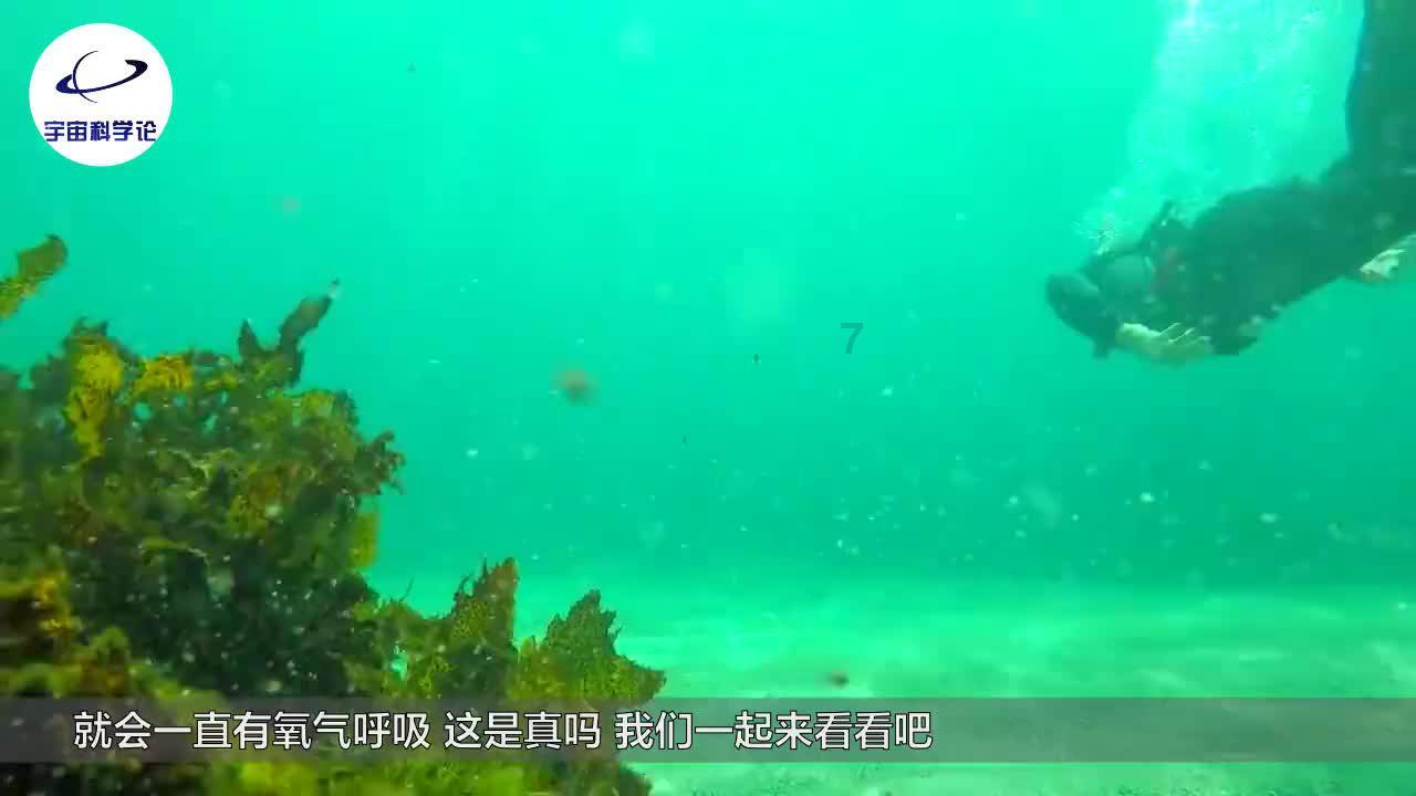 逃离外祖母家
