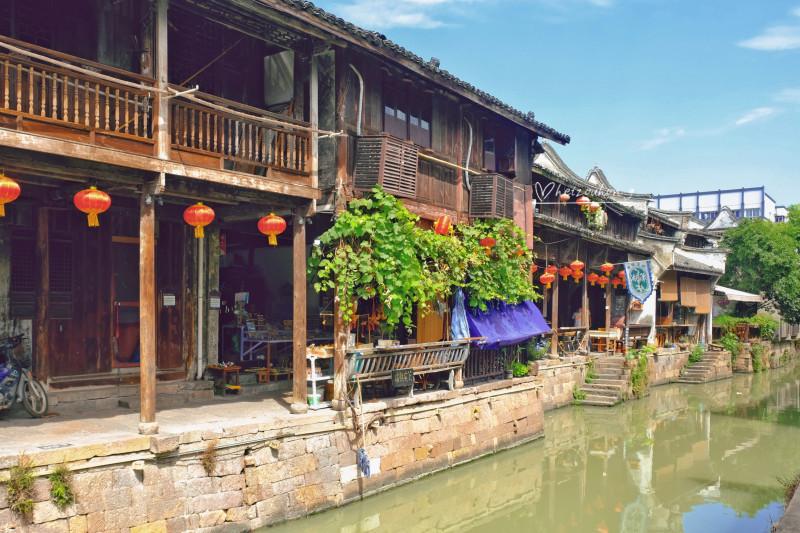 凤凰不好惹